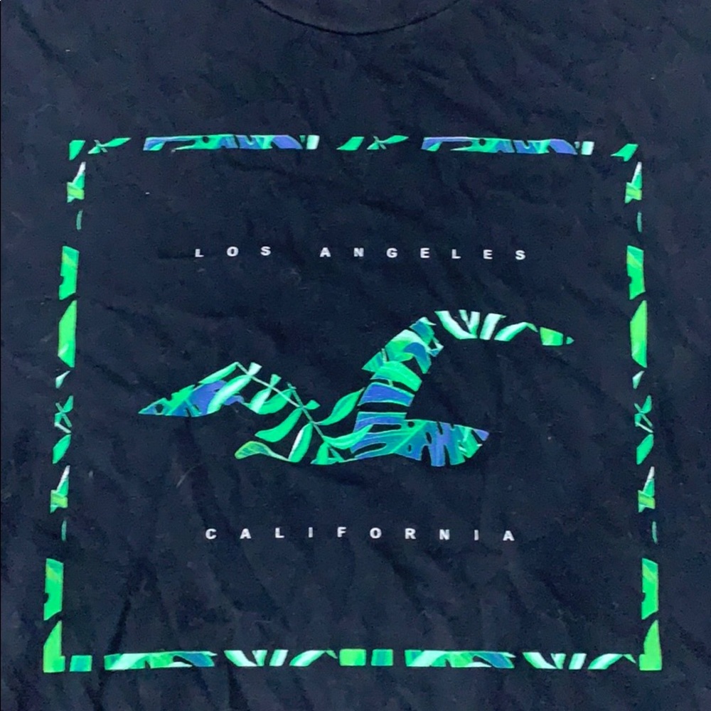 Hollister California t shirt